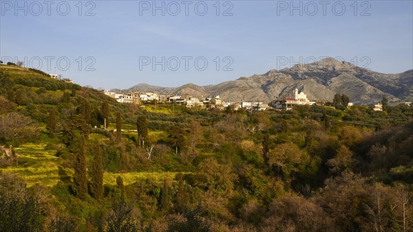 Spring in Crete