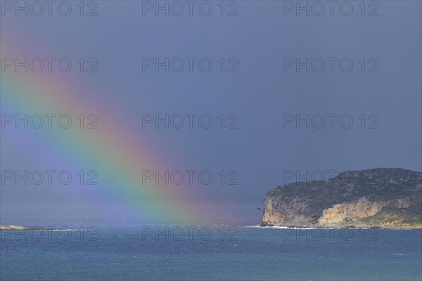 Spring in Crete