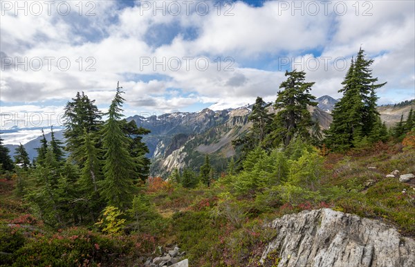 Mountain landscape in autumn