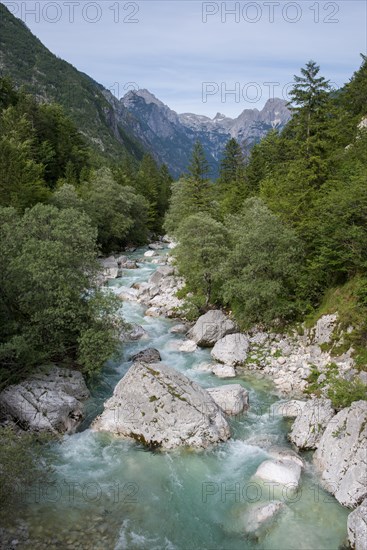 Mountain river Soca with crystal clear turquoise water