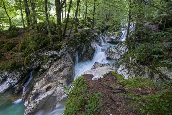 Watercourse of the Lepenjica