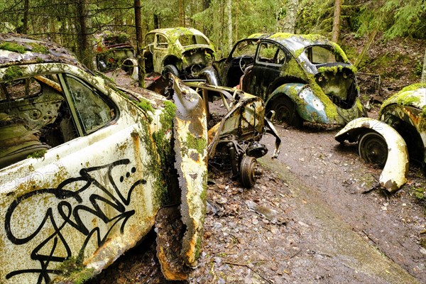 VW Beetle in a row