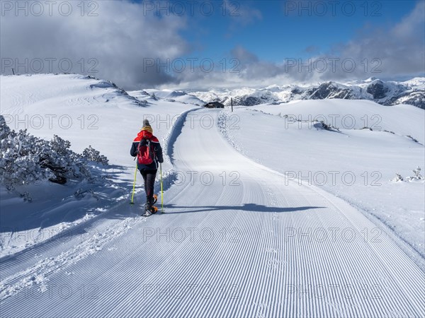 Winter landscape