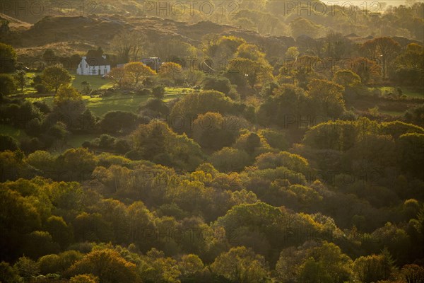 Small house with light mood in autumnal landscape