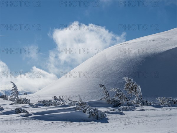 Blue sky over winter landscape