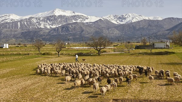 Spring in Crete