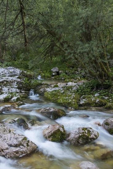 Watercourse of the Lepenjica