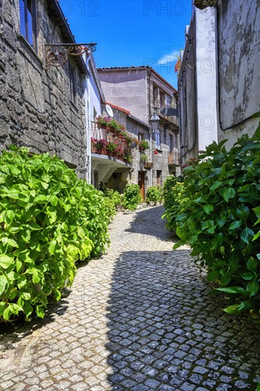 Narrow cobble street with flowers and old stone houses