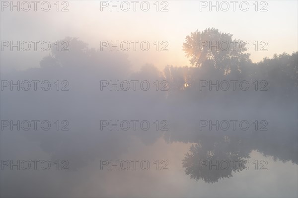 Morning fog and sunrise in the nature reserve Herbslebener Teiche