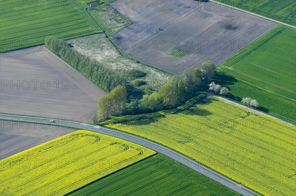 Aerial view of a field landscape near Damme