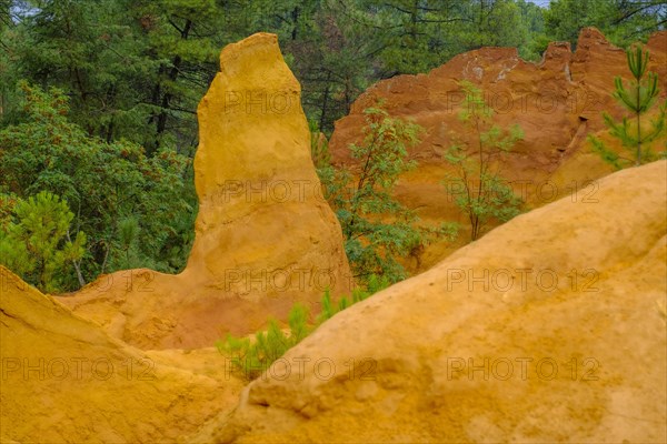 Ochre nature trail