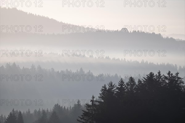 Morning mist in the Bavarian Forest