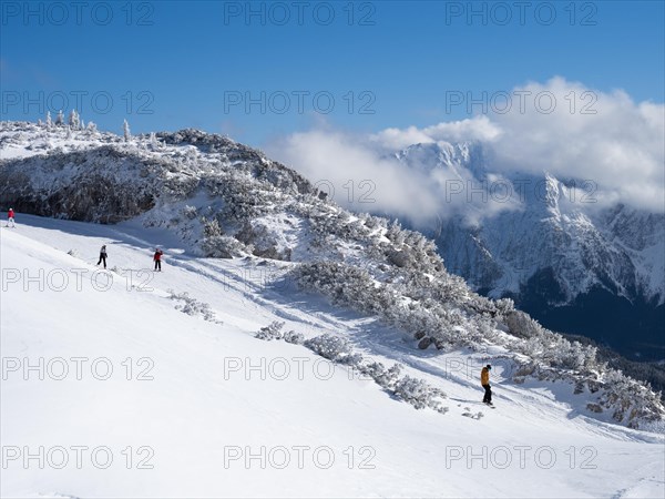 Skiers in winter landscape