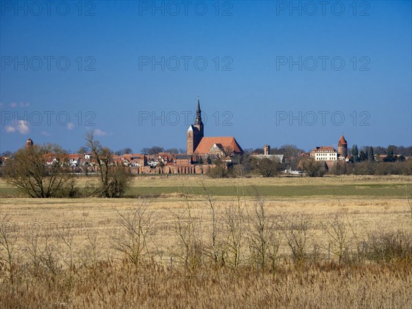 Elbe meadows near Wust-Fischbeck