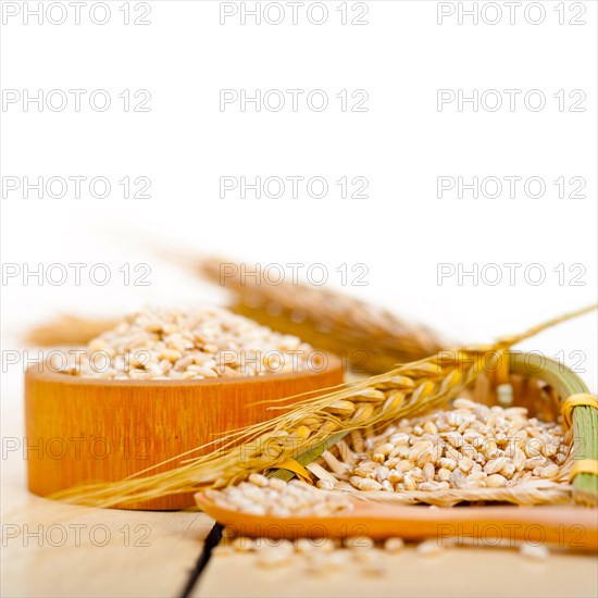 Organic barley grains over rustic wood table macro closeup