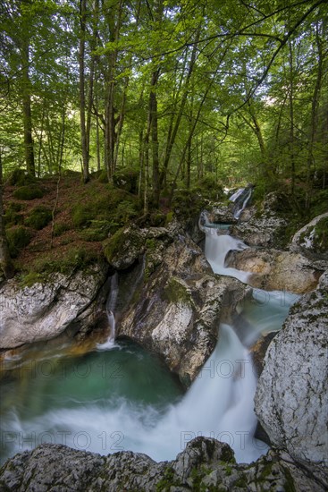 Watercourse of the Lepenjica