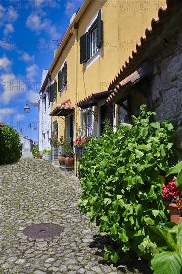 Narrow cobble street with flowers and old stone houses