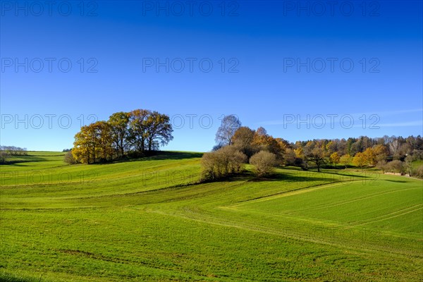 Fields and woods near Doepshofen