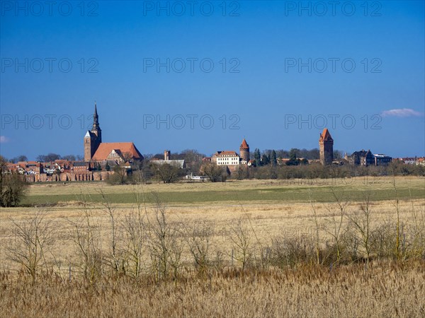 Elbe meadows near Wust-Fischbeck