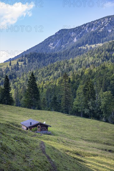 Mountain hut in a meadow