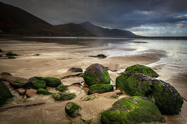 Moss-covered stones on seashore