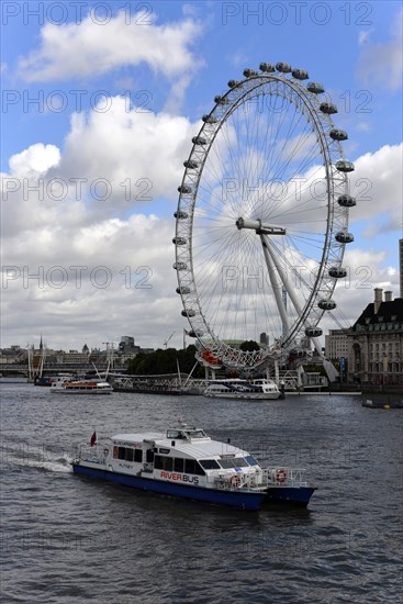 London Eye or Millennium Wheel