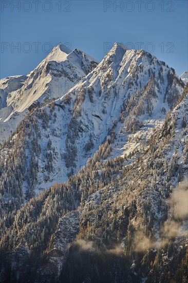 Snowy Mountains with colored European larch