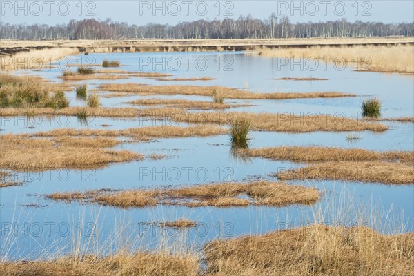 Rewetting area