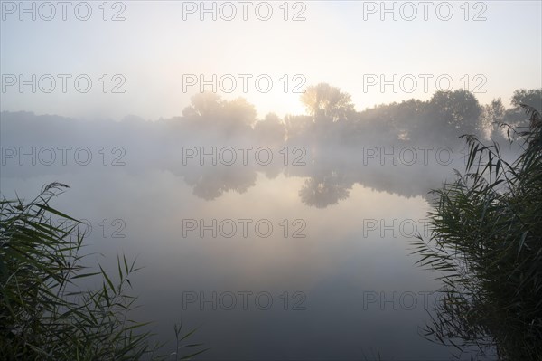 Morning fog and sunrise in the nature reserve Herbslebener Teiche