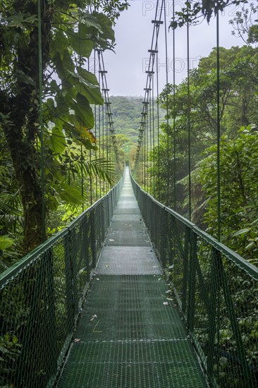 Suspension bridge in Selvatura Park