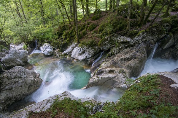 Watercourse of the Lepenjica