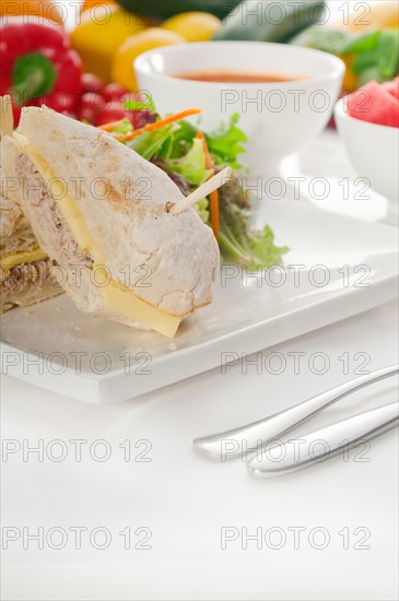 Tuna fish and cheese sandwich with fresh mixed salad