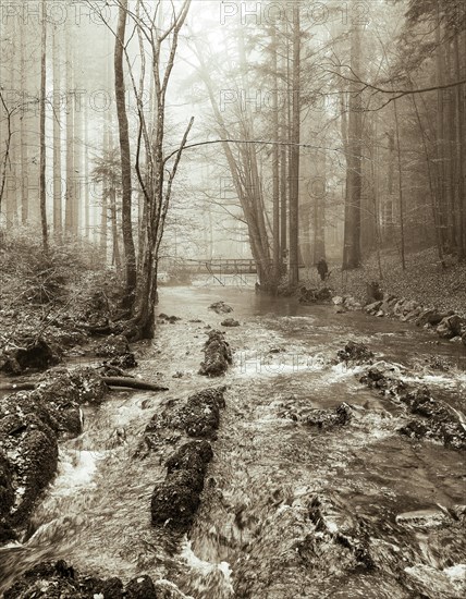 Zellerache flows through autumn forest in morning mist