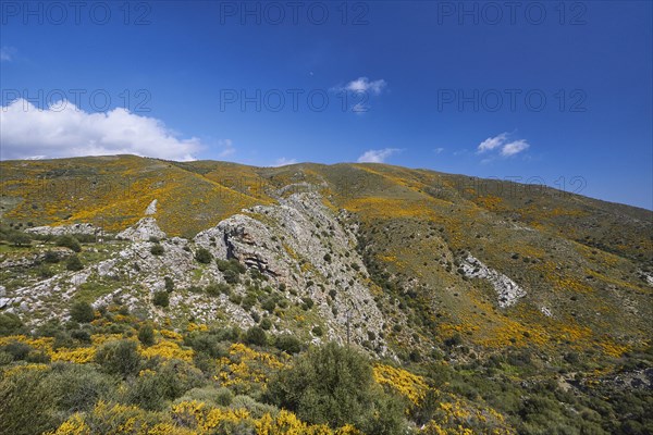 Spring in Crete