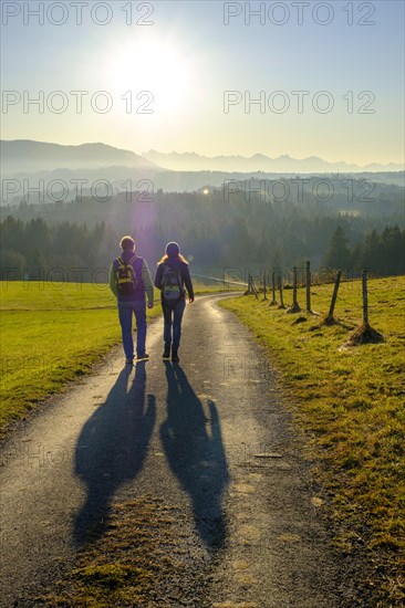 Hiker at the panorama path during the descent from the Kirnberg near Schoenberg