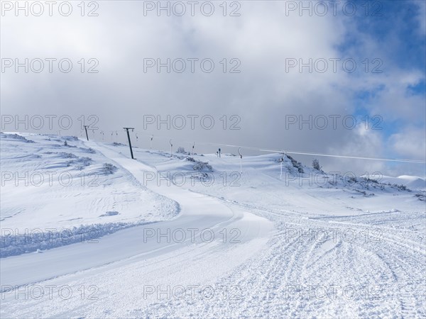 Winter landscape