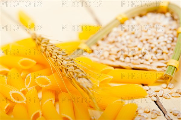 Short Italian pasta penne with durum wheat grains