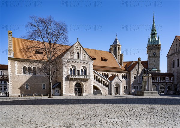 Dankwarderode Castle