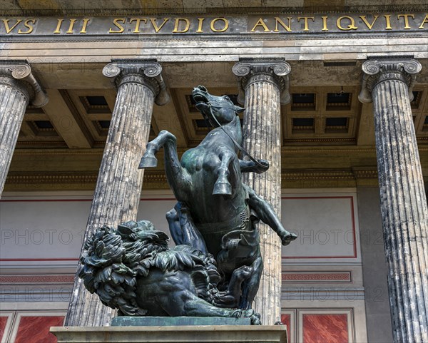 Lion fighter in front of the Altes Museum