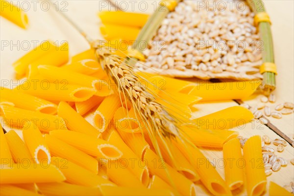 Short Italian pasta penne with durum wheat grains