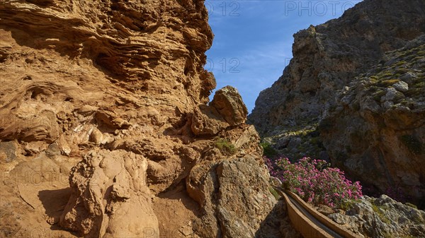 Spring in Crete