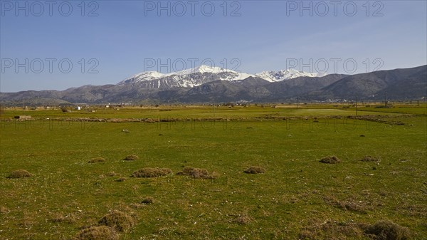 Spring in Crete