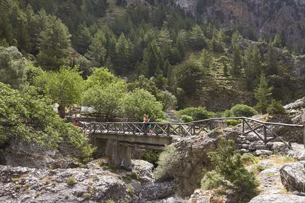 Spring in Crete