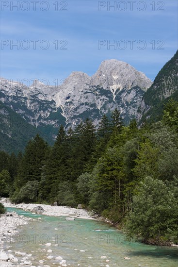 Mountain river Soca with crystal clear turquoise water