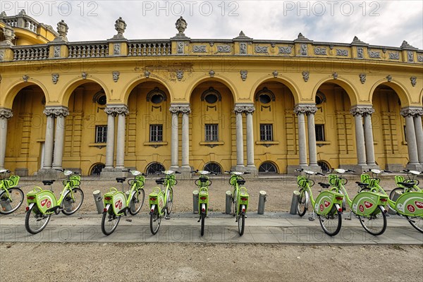 Green rental bikes