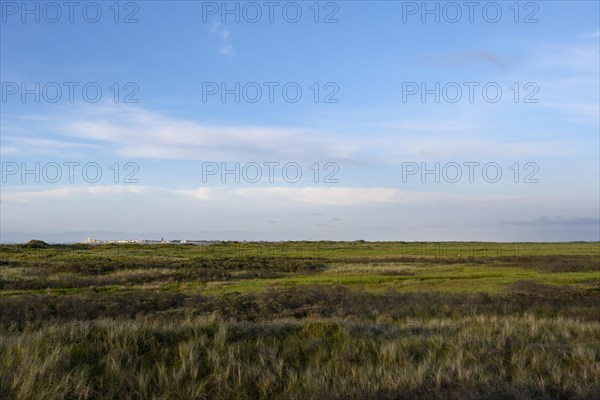 View over flat dune landscape of the Kalfamer to the island of Norderney