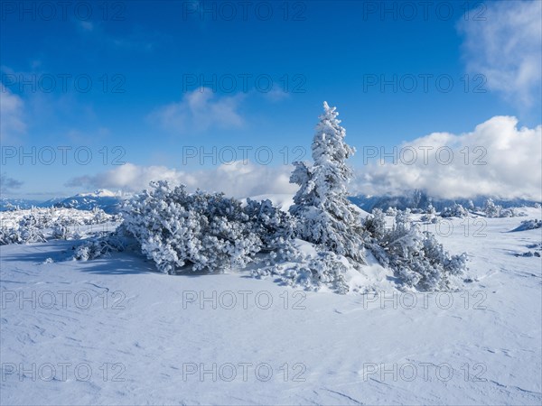 Blue sky over winter landscape