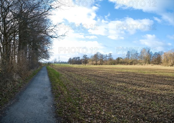 Fallow field in January