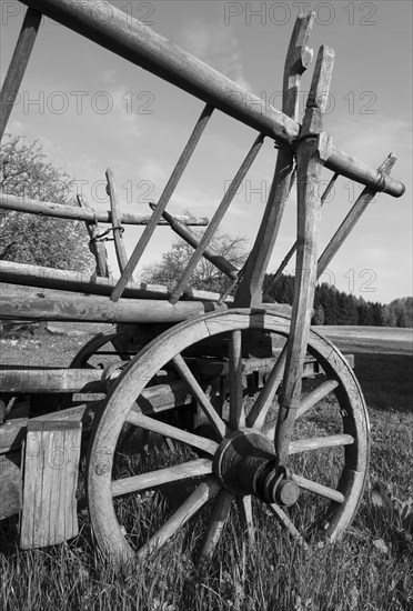 Wooden wheel on an old wooden cart