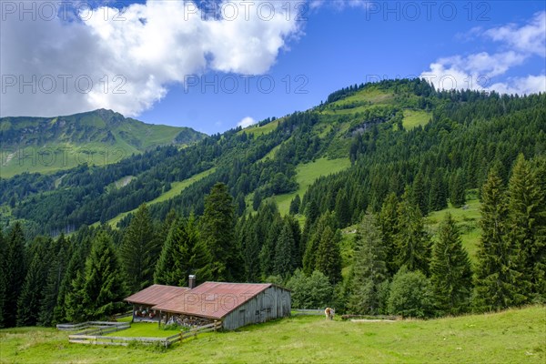 Alpe Hochleite